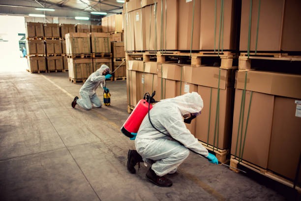 Best Pest Removal Services  in Powderly, TX