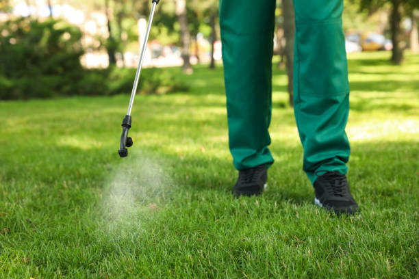 Best Pest Control for Homes  in Powderly, TX