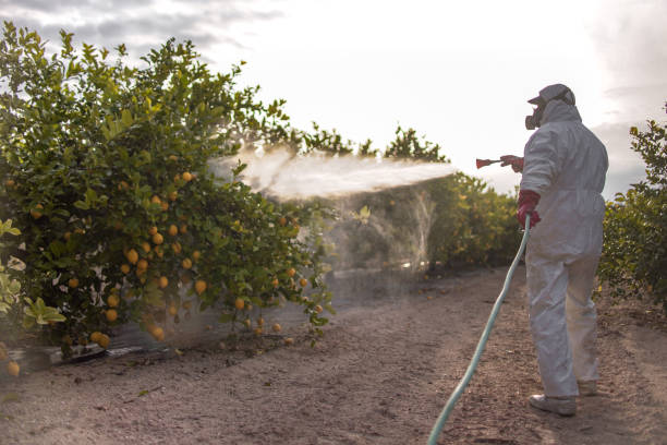 Best Cockroach Control Services  in Powderly, TX