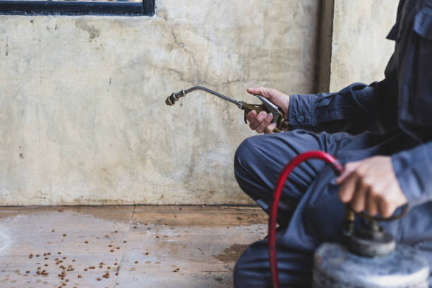 Professional Pest Control in Powderly, TX