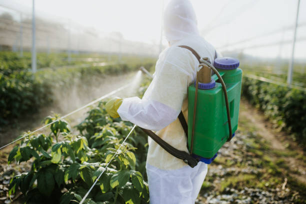 Pest Control for Restaurants in Powderly, TX